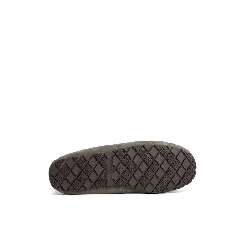 Reina oxf_wm Grey Women's Women | Sperry Canada